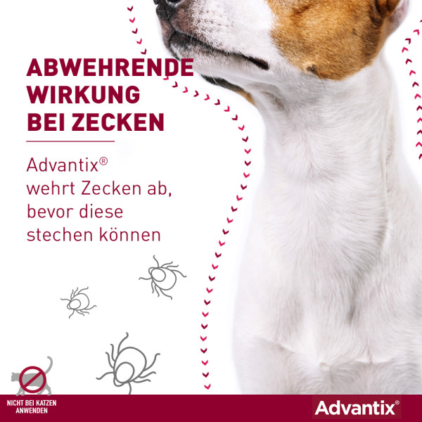 ADVANTIX Spot-on Lsg.z.Auftr.a.d.H.f.Hund bis 4 kg