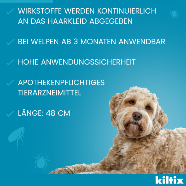 KILTIX Halsband f.mittelgroße Hunde