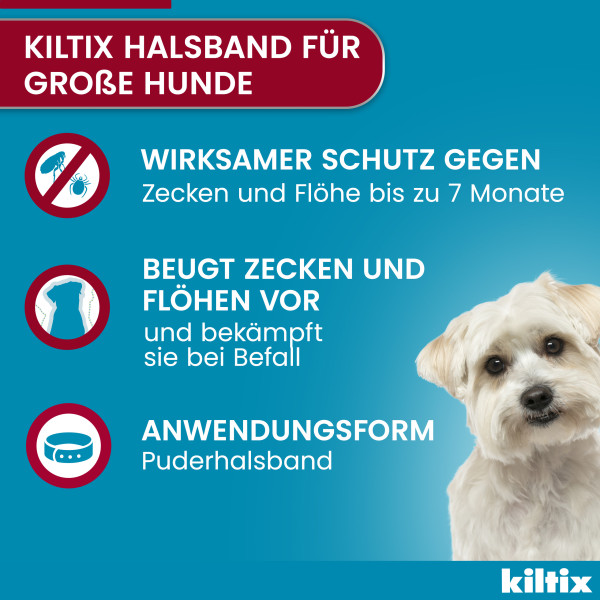 KILTIX Halsband f.große Hunde