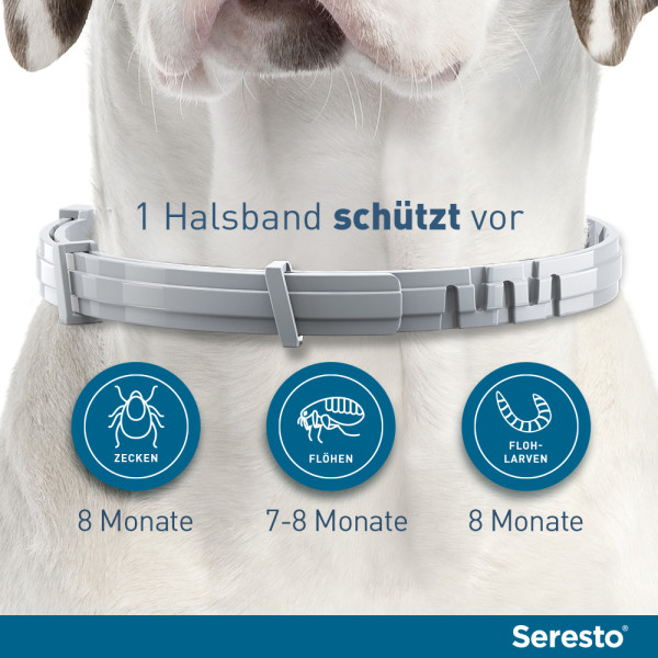 SERESTO 1,25g + 0,56g Halsband für Hunde bis 8kg