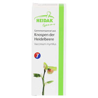 GEMMO-MAZERAT Vaccinium myrtillus Spray