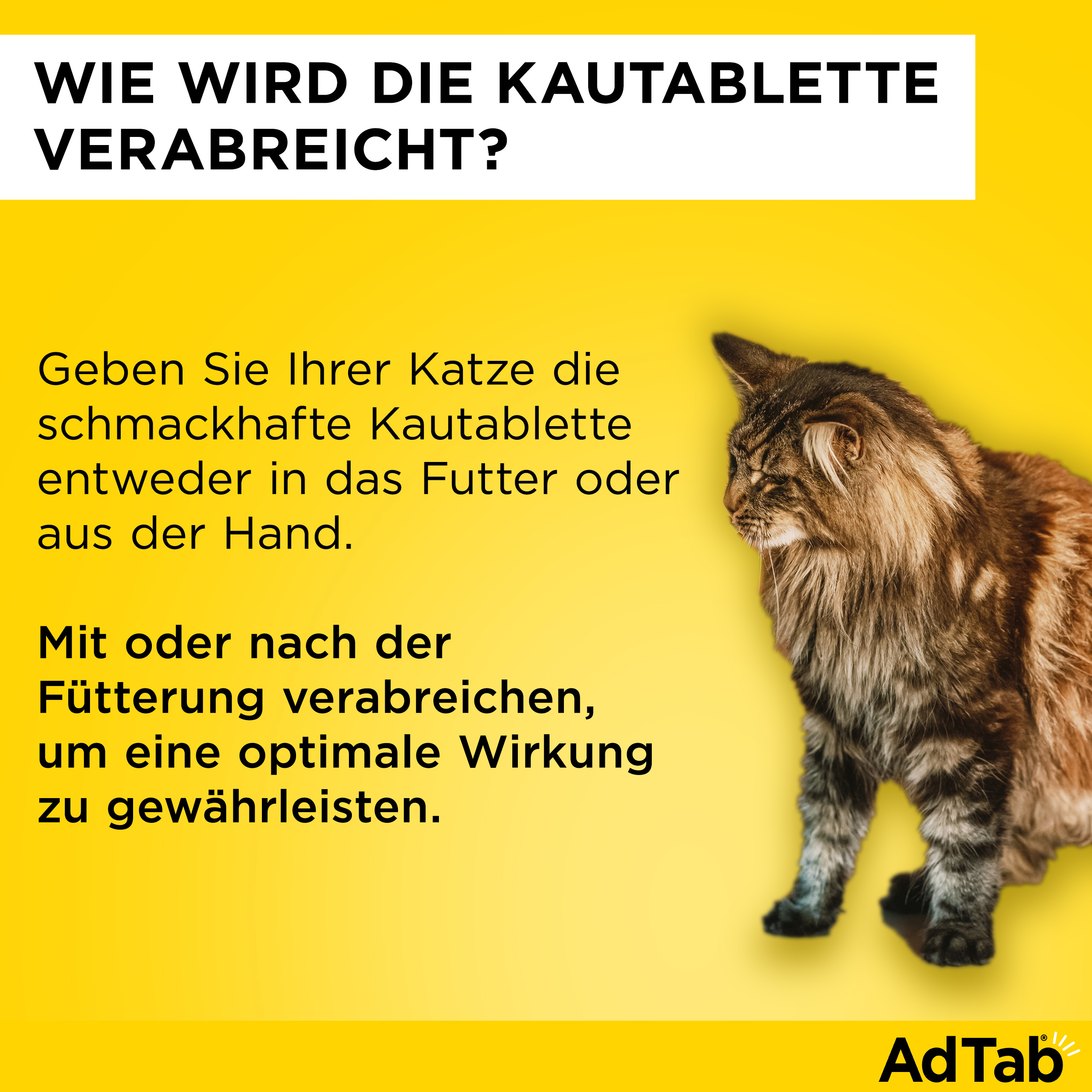 ADTAB 48 mg Kautabletten für Katzen >2-8 kg