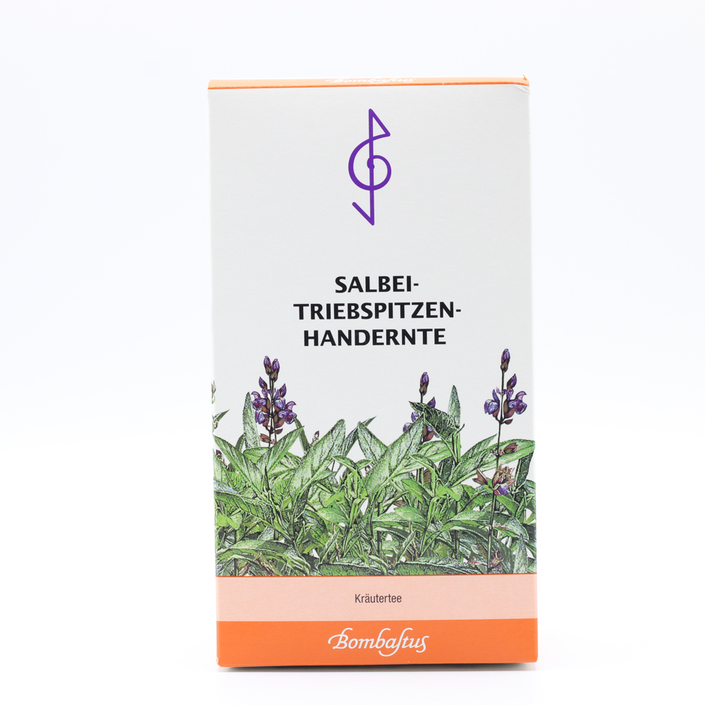 SALBEI TRIEBSPITZEN Tee Handernte
