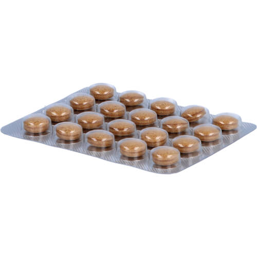 KOREANISCHER Reiner Roter Ginseng 300 mg Tabletten