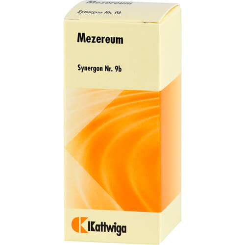 SYNERGON KOMPLEX 9b Mezereum Tropfen