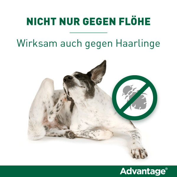 ADVANTAGE 100 Lösung f.Hunde 4-10 kg