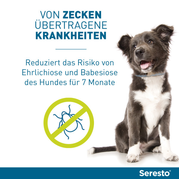 SERESTO 4,50g + 2,03g Halsband für Hunde ab 8kg