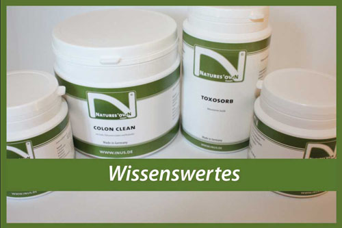 ARTHROFLEXAN Plus Kapseln