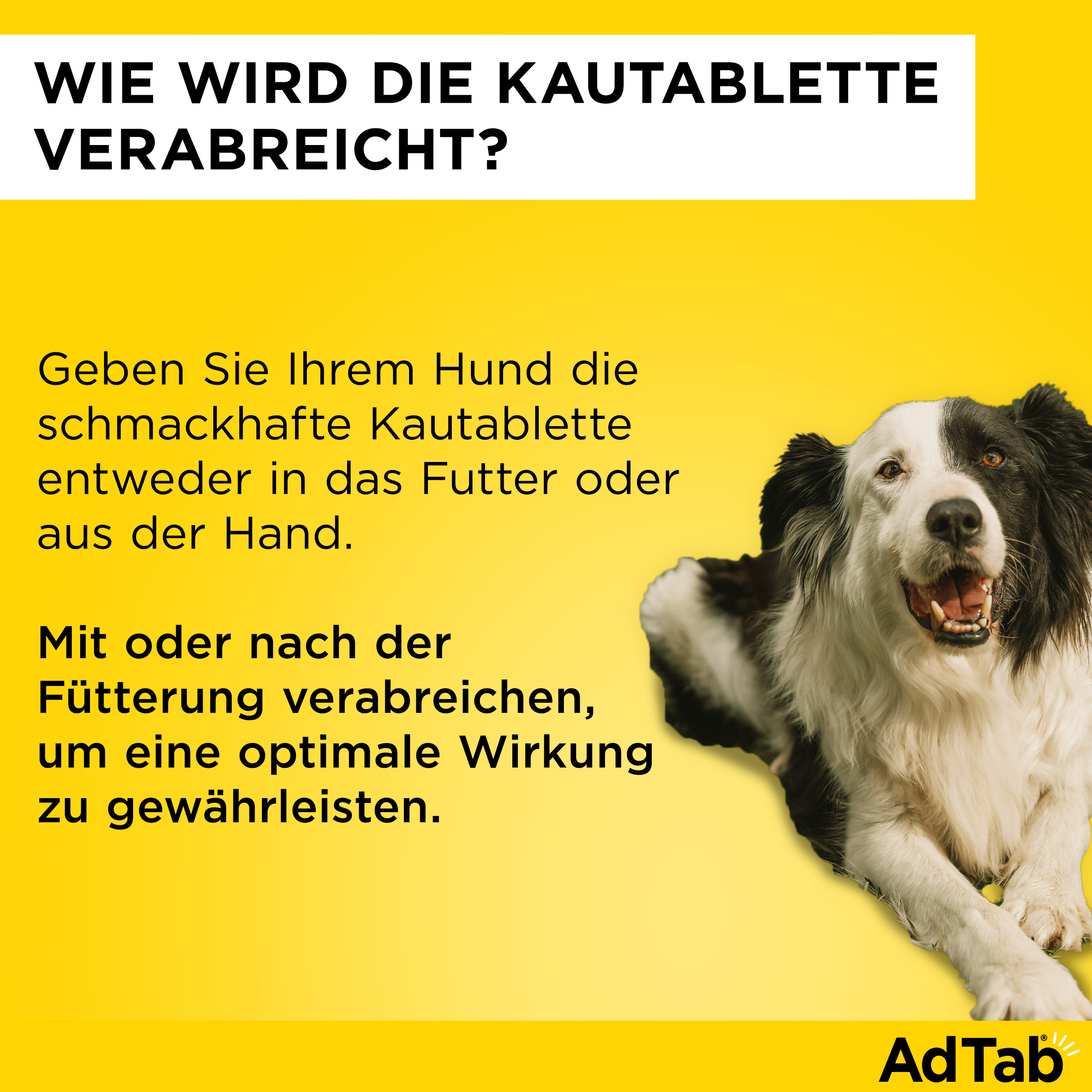 ADTAB 56 mg Kautabletten für Hunde 1,3-2,5 kg