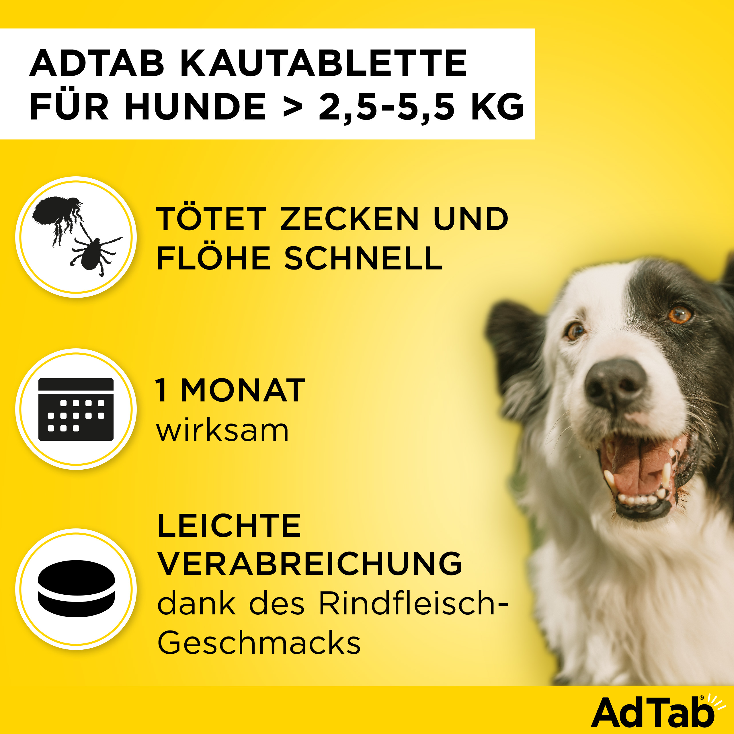 ADTAB 112 mg Kautabletten für Hunde >2,5—5,5 kg