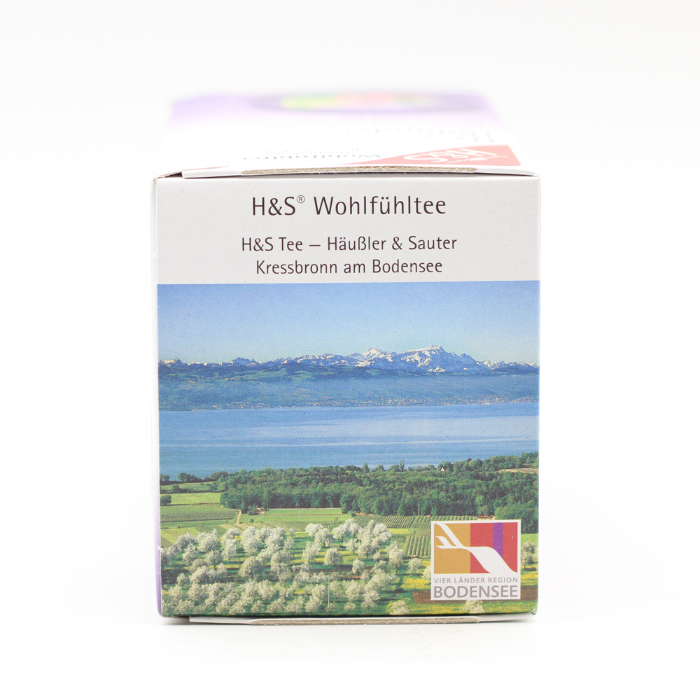 H&S Holunder m.Vitamin C und Zink Filterbeutel