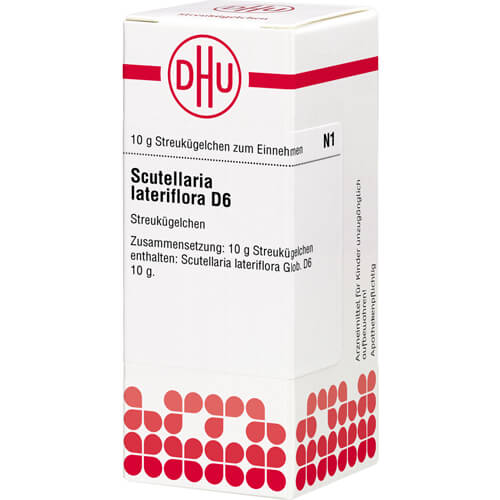 SCUTELLARIA LATERIFLORA D 6 Globuli