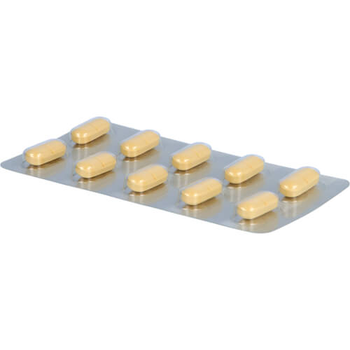 GINKGO STADA 240 mg Filmtabletten