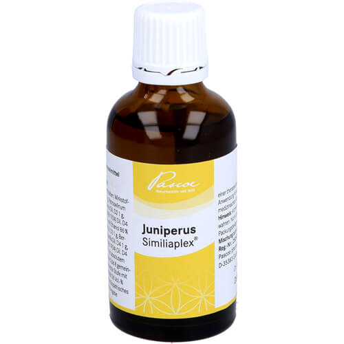 JUNIPERUS SIMILIAPLEX Mischung